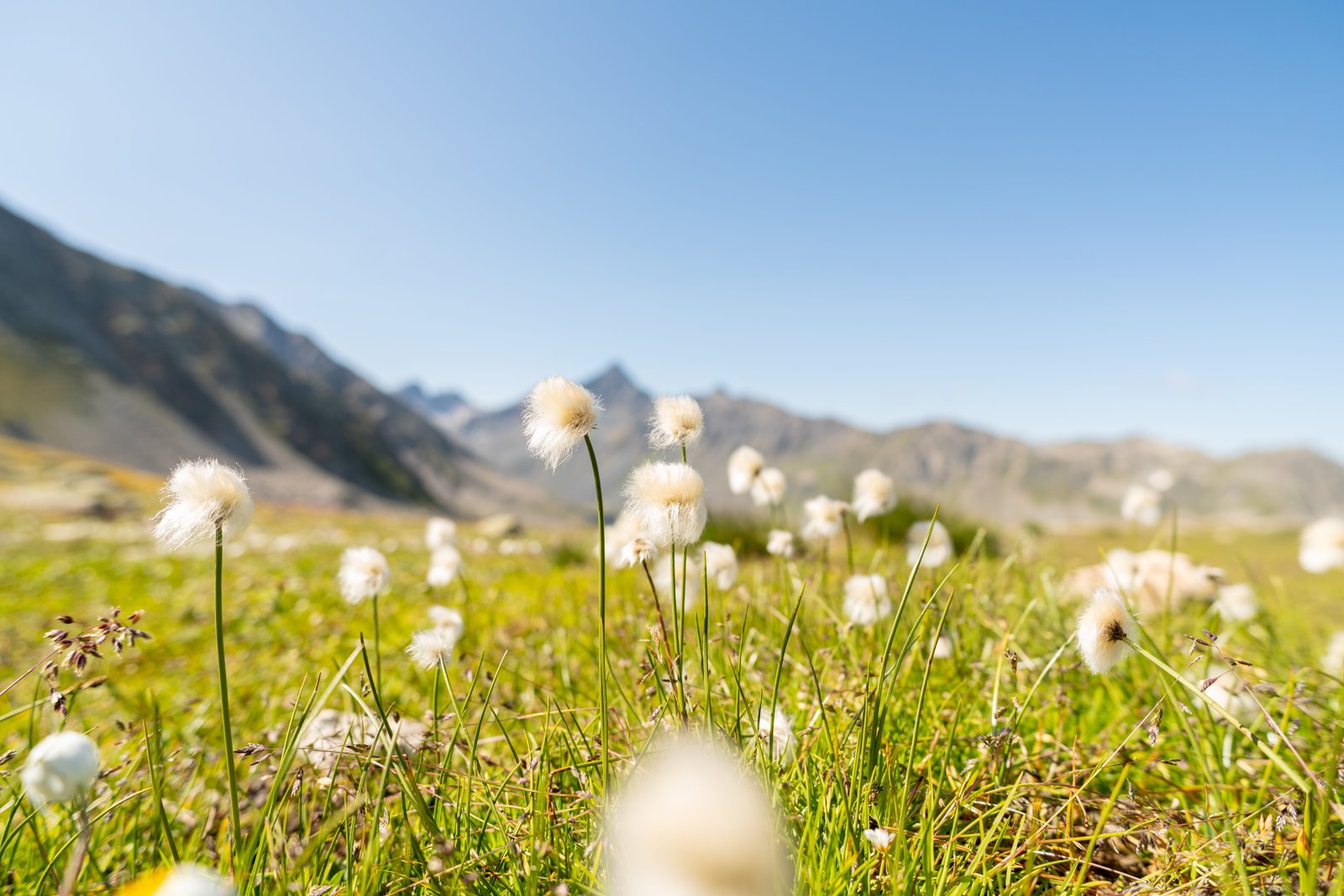 Landschaft mit tiefem Horizont